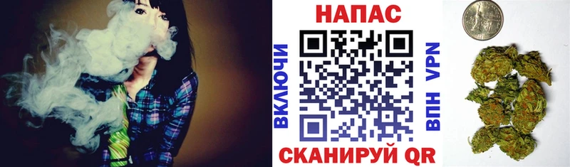 мориарти состав Комсомольск-на-Амуре Бошки марихуана индика